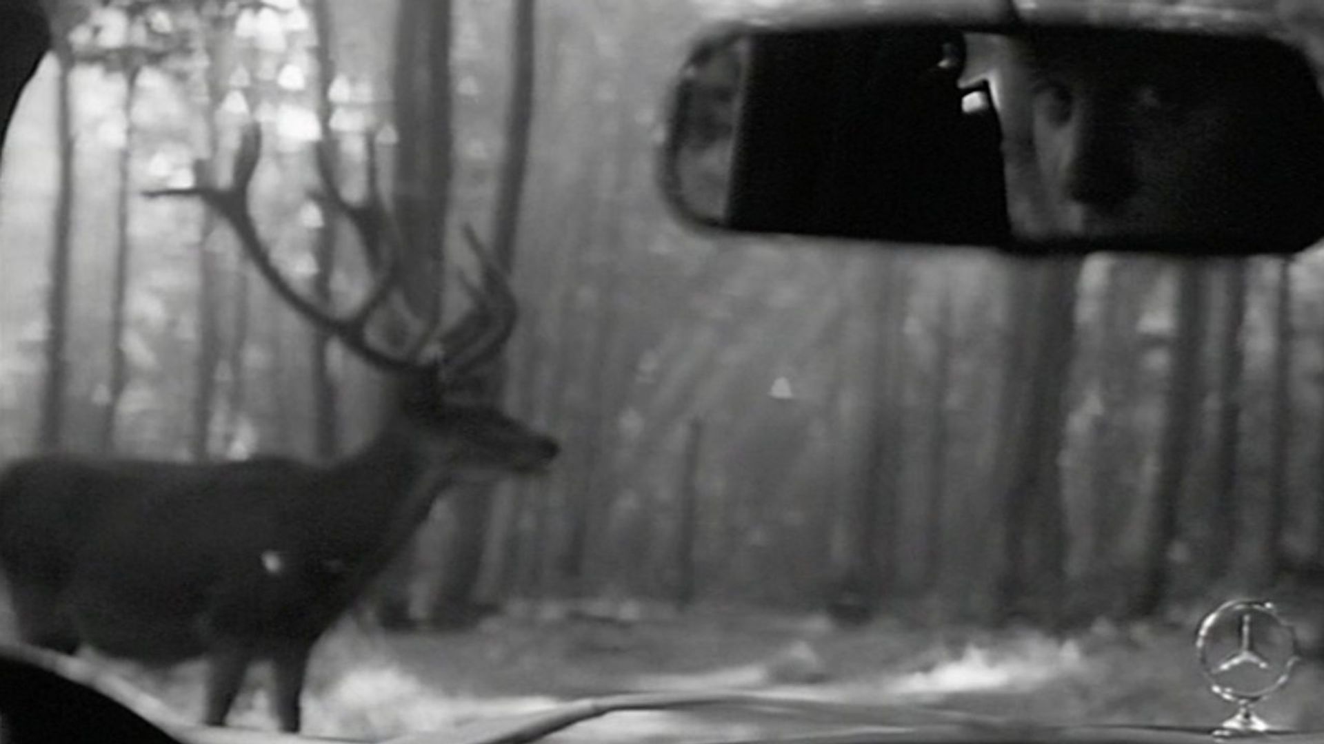 Heimat: A Chronicle of Germany background