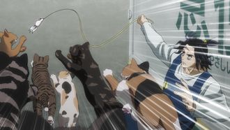 Episode 2 Tonight the Cats Steal the Stars