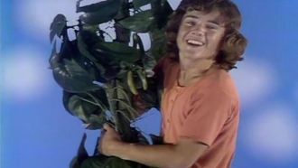 Episode 9 Mark and the Bean Stalk