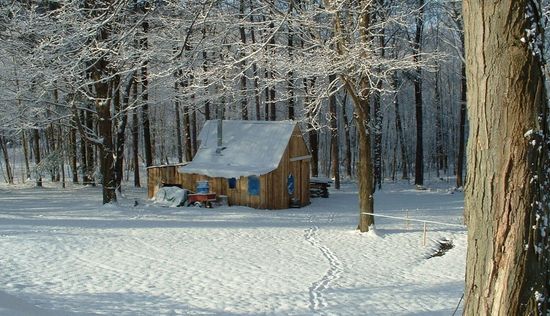 Snow