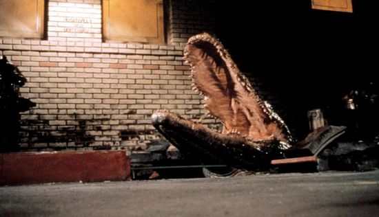 Alligator