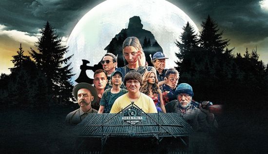 Nobody Sleeps in the Woods Tonight