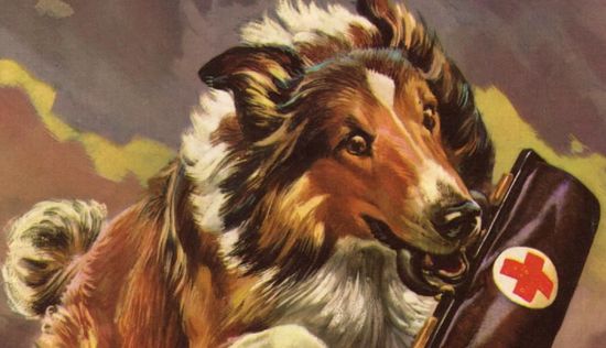 MGM's Lassie