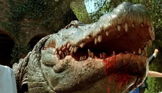 Crocodile