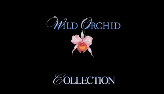 Wild Orchid