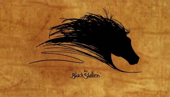 The Black Stallion