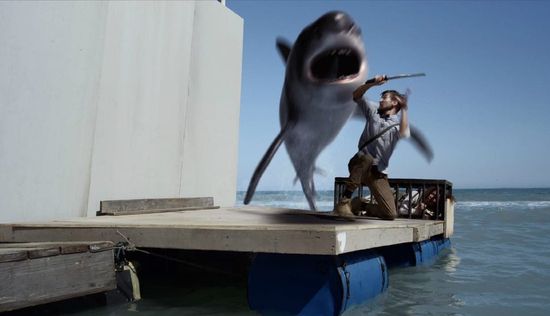 The Sharks