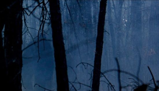 Boggy Creek