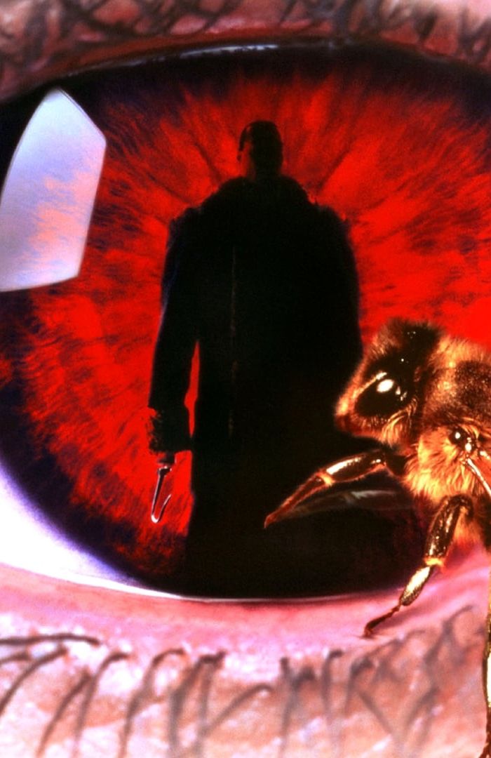 Candyman background