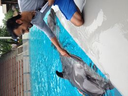 Directing a commercial at Marineland Niagara falls