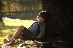 2009-The Giving Tree