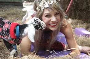 Goat Yoga anyone? Downonthefarmyoga.com