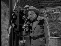 Loyal T. Lucas in The Addams Family (1964)