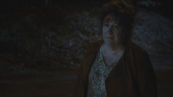 Margo Martindale in Sneaky Pete (2015)