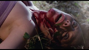 Isabel Pisano in Trauma (1978)