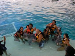 Michael Munoz with Wife, Marisa, Margot Ochiro, Don Stroud, Branscombe Richmond and Kawena -Swimming with Dolphins (Good