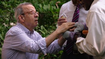 Joel Bernstein in Mozart in the Jungle (2014)