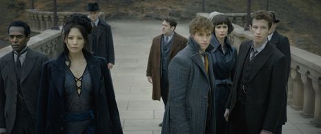 Dan Fogler, William Nadylam, Eddie Redmayne, Katherine Waterston, Claudia Kim, and Callum Turner in Fantastic Beasts: Th