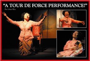 Neo Swee Lin as Rosa in 'Postcards from Rosa'