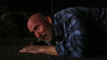 As WALT in 'Light in the Sky'.