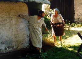 Mahulena Bocanová and Jan Hartl in The Golet in the Valley (1995)