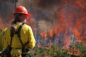 On location in Yellowstone for BBC