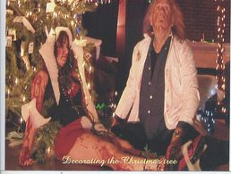 Decorate the Christmas Tree