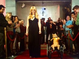 Melinda Hill and Wheelchair Cat in Nick Swardson's Pretend Time