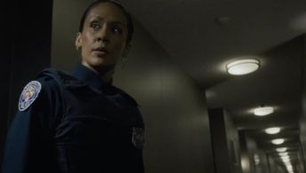 Sergeant Pillar in The Burglar.