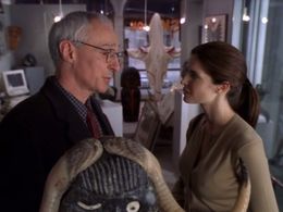 Michael Gross and Stephanie Seymour in Law & Order: Criminal Intent (2001)