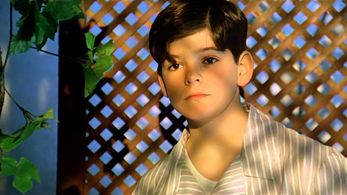 Miguel Ángel Muñoz in The Lame Pigeon (1995)