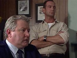 Martin Sacks and John Wood in Blue Heelers (1994)