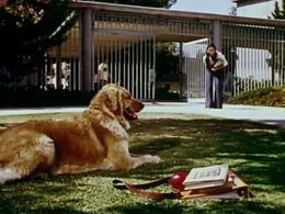 Joanna Pang in The Secrets of Isis (1975)