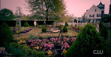 Daniel Gillies, Nathaniel Buzolic, Claire Holt, and Riley Voelkel in The Originals (2013)