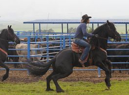 Still of Mario Cimarro in Gavilanes