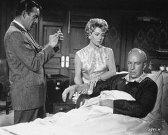 Anthony Quinn, Lana Turner, and Lloyd Nolan in Portrait in Black (1960)