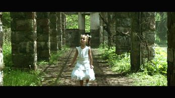 Skyler Wexler in The Captured Bird (2012)