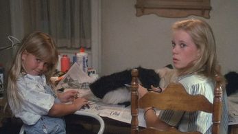 Robyn Lively and Brandy Gold in Wildcats (1986)