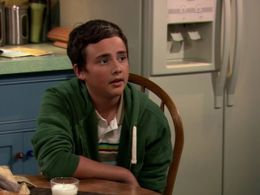 Ryan Malgarini in Gary Unmarried (2008)