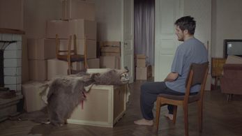 A fold in my blanket