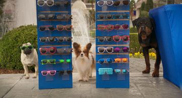 Stanley Tucci, Gabriel Iglesias, and Ludacris in Show Dogs (2018)