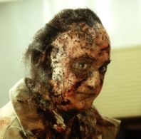 Paul Schackman in CSI