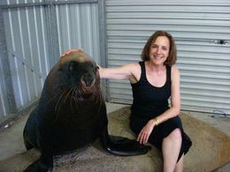 The set of NIM’S ISLAND. 2007. Selkie, Paula Mazur.