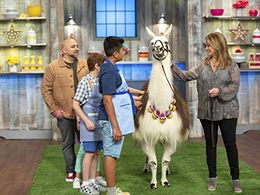 Valerie Bertinelli, Saleem Sandhu, and Duff Goldman in Kids Baking Championship: Llama Drama (2020)