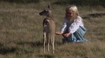 Hollye Holmes in The Adventures of the Wilderness Family (1975)