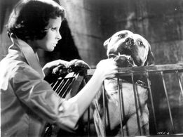 Edith Scob in Eyes Without a Face (1960)
