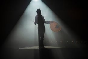 Como Caído del Cielo