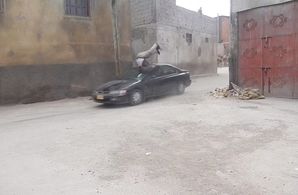 car crush - backstabbing for beginners