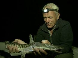 Jeremy Wade in River Monsters (2009)