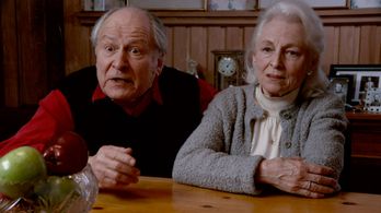 Waltrudis Buck and David Margulies in The Girl on the Train (2014)